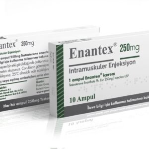 Proton Pharma (Test E) Enantex 10 x 250mg – 1ml ampules